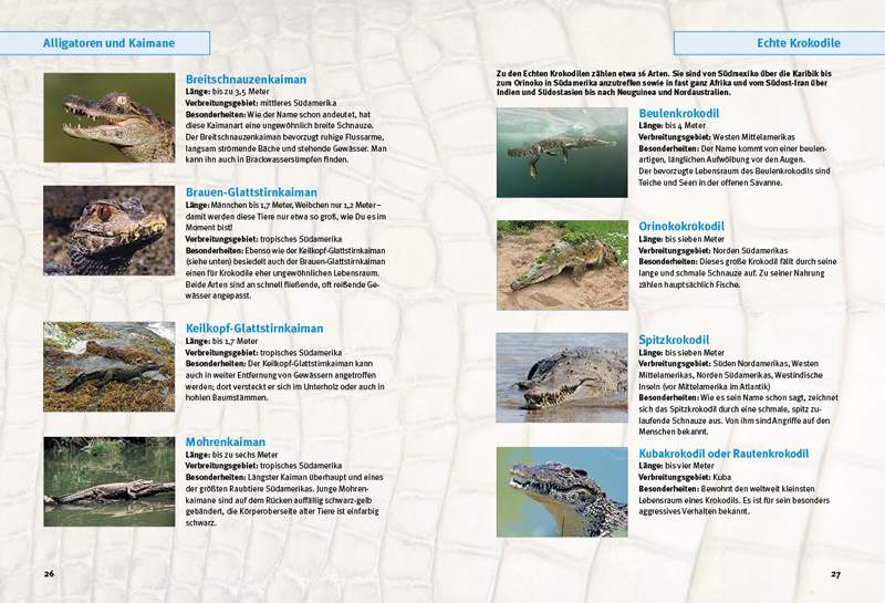 Entdecke die Krokodile